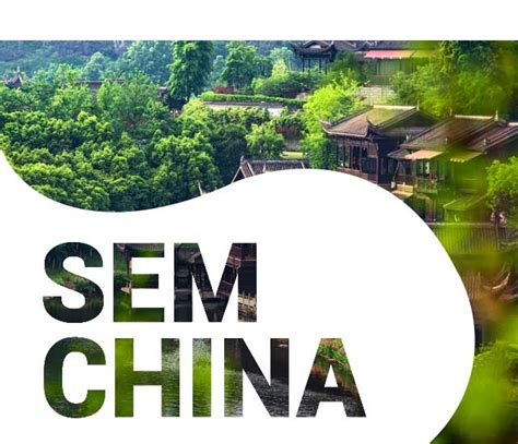 China SEM News & Insights .